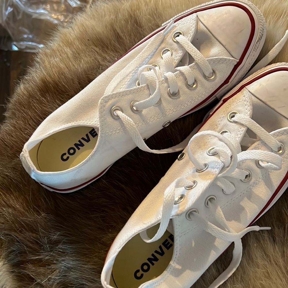 Brand new converse 7.5